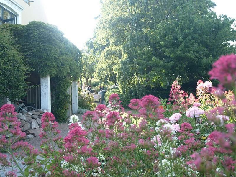 Danchelshus Bed and Breakfast Allinge-Sandvig Buitenkant foto
